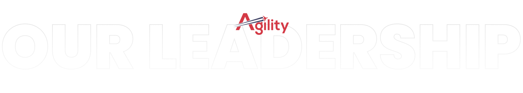 About Us - AgilityTS